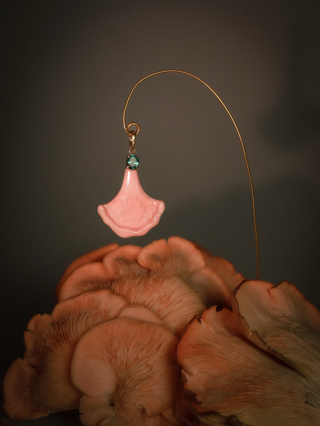 Pink Oyster (Libra)
